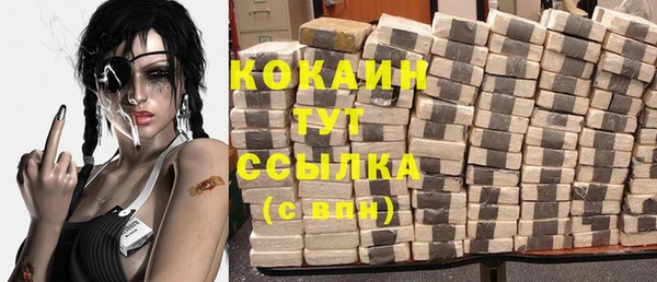 соль ск Алексин