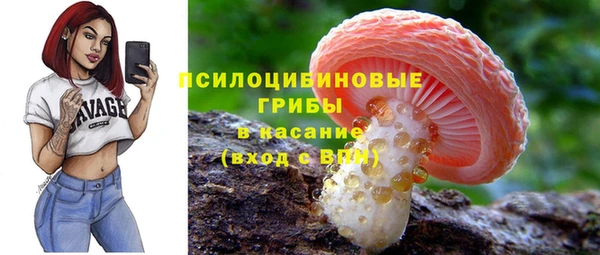 круглые Алзамай